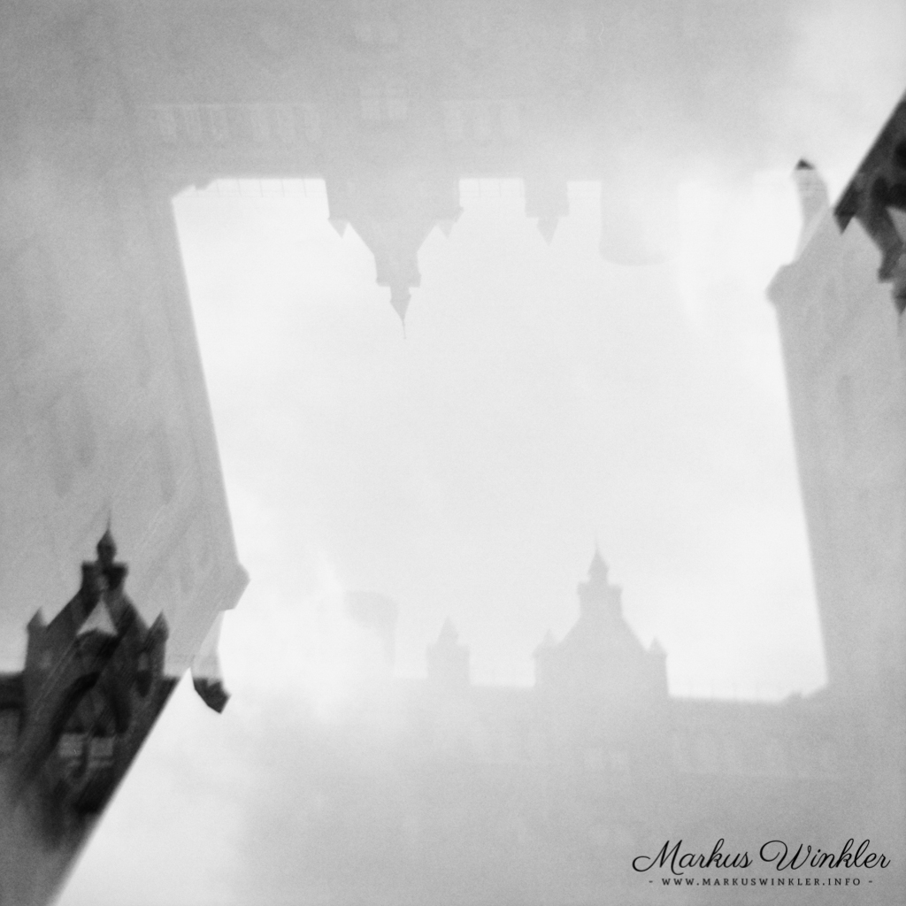 Eine Mehrfachbelichtung mit der Diana F+ und einem abgelaufenen T-Max 400