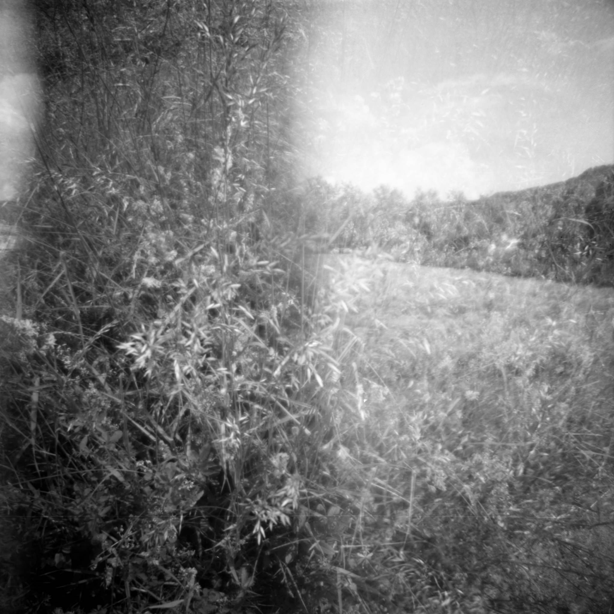 lomography-diana-f-plus-multi-exposure
