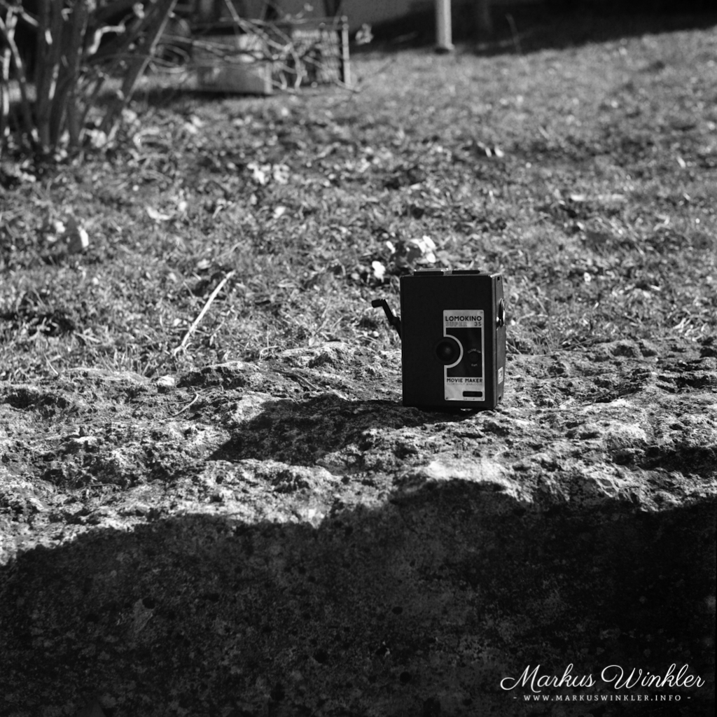 Beispielfoto mit der 400er Schwarzweißfilm in der Seagull