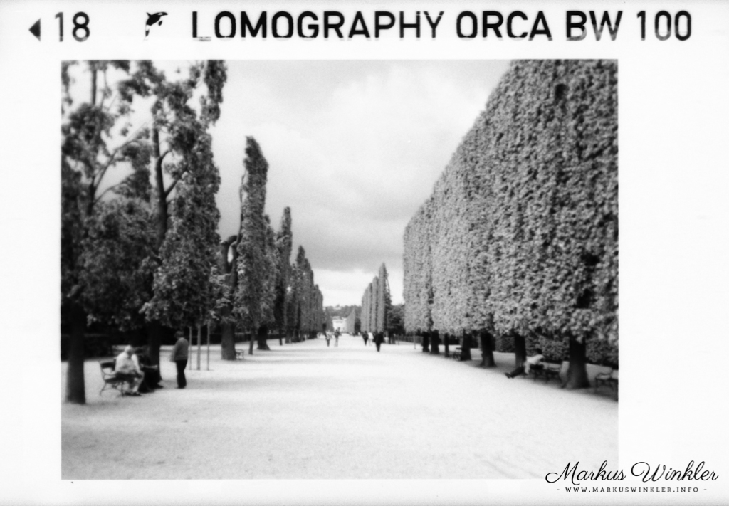 Beispielbild mit dem Orca B&W 100 von Lomography und der Pocketfilmkamera "Kodak Ektra 200"