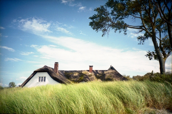 Aufnahme mit der Lomo LC-A+ Russia Day und dem Superia 200