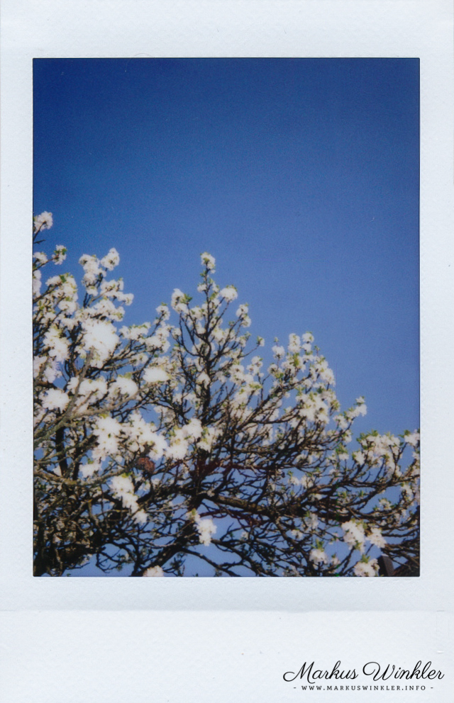 Review - Fujifilm Instax Mini 8 - Beispielbild - 05