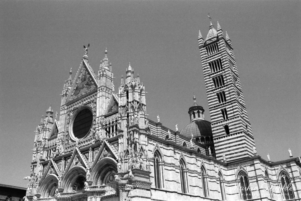Nikon EM Beispielaufnahme Rollei Retro 100