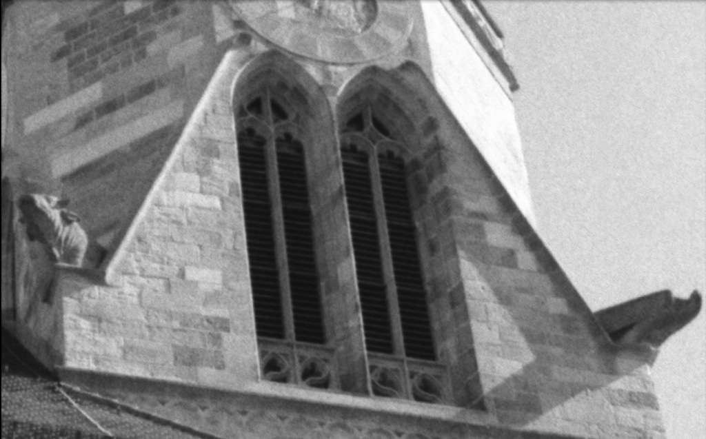 100% Crop aus dem Scan des Negativs