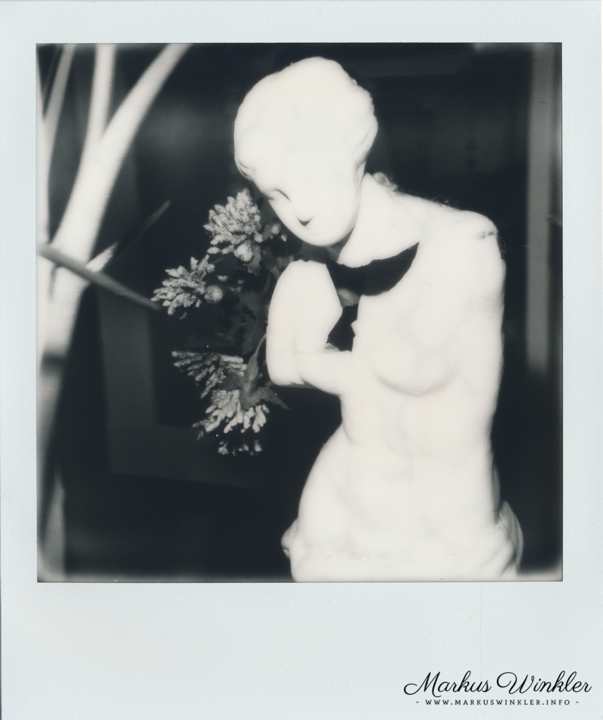 impossible-bw-600-review-beispielfoto-instant-film