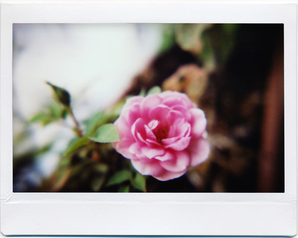 Lomo'Instant - Beispielfotos - Close Up Lens