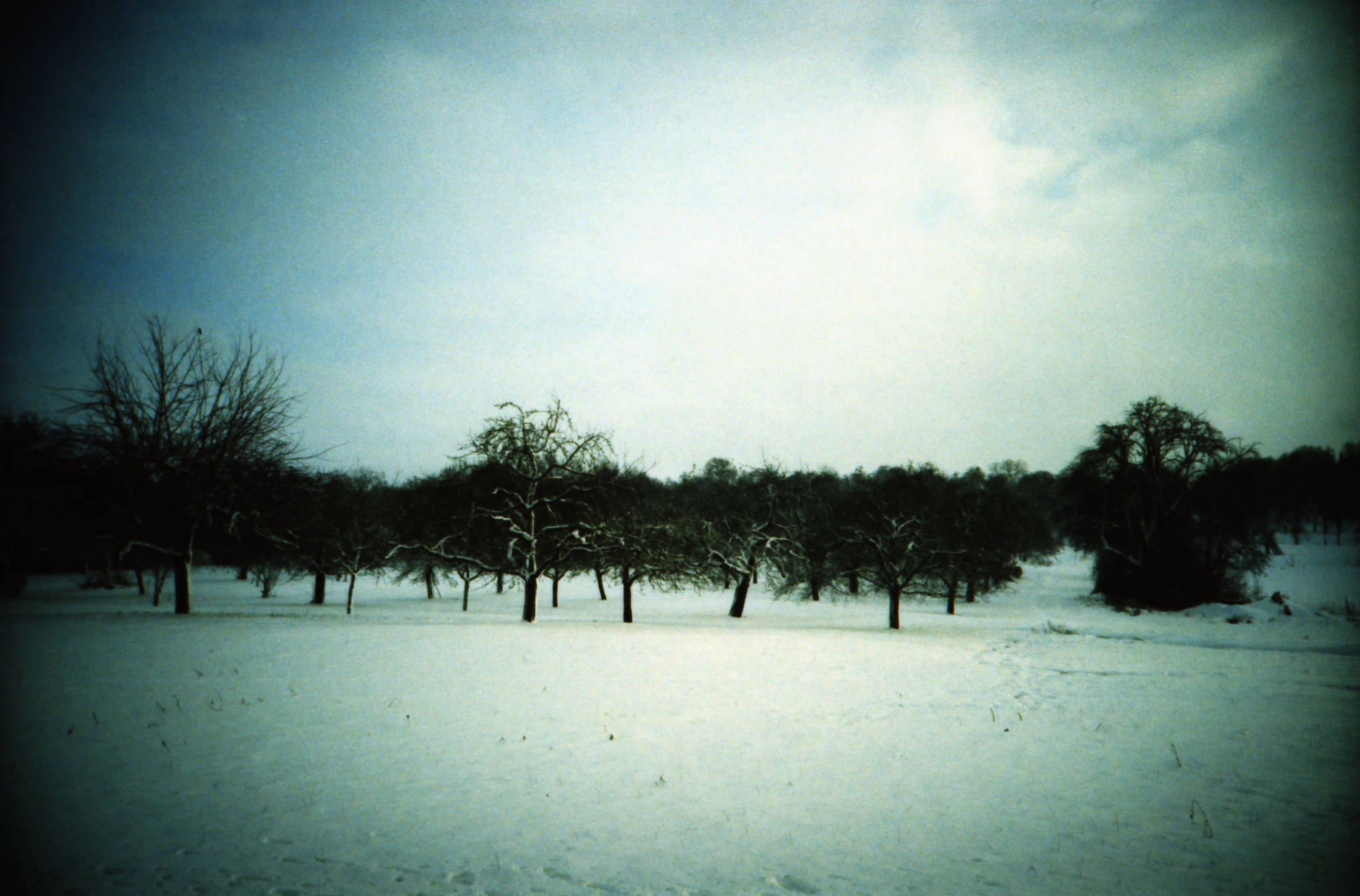 lomo-lca-beispielfoto-xpro-lomography