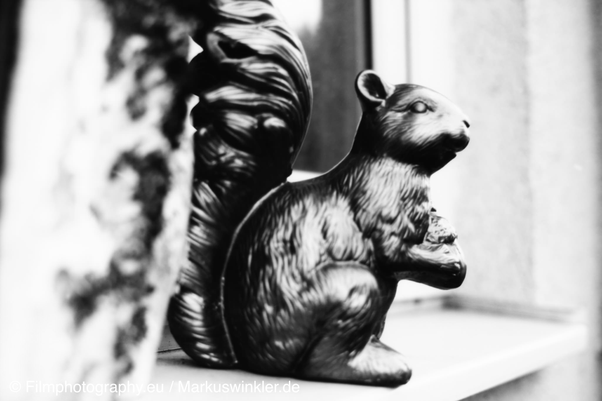 washi-a-35mm-schwarzweiss-rodinal