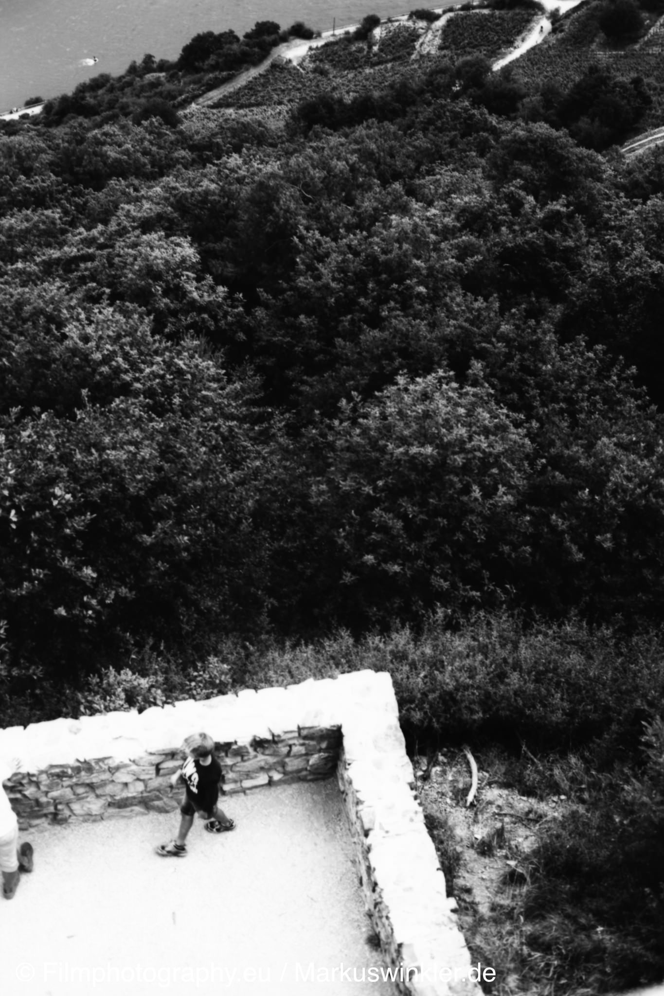 washi-s-film-rodinal-04