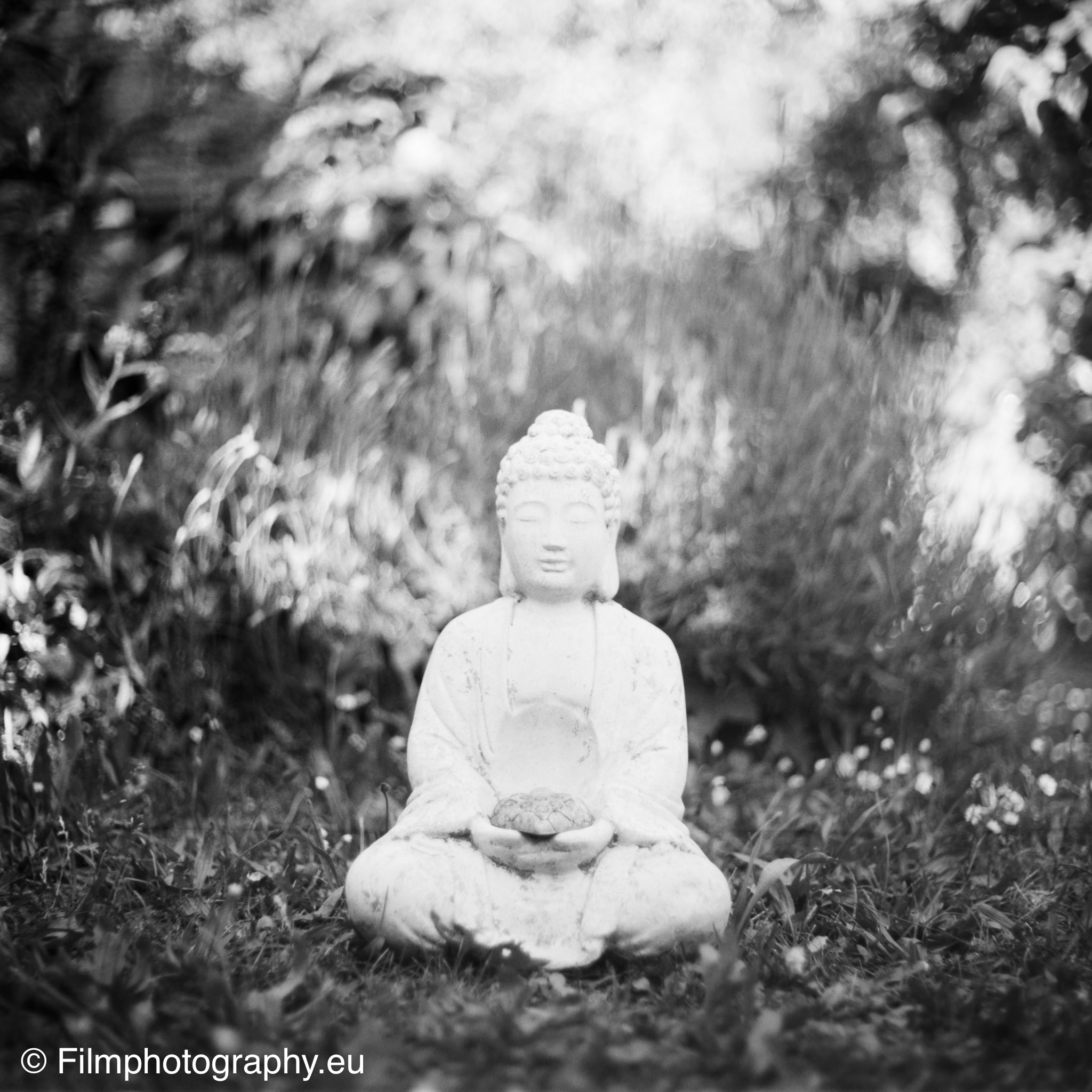 kiev-60-fomapan-volna-3-80mm