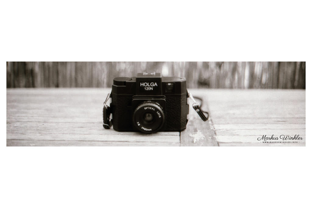 holga-120n-film-8895-asf