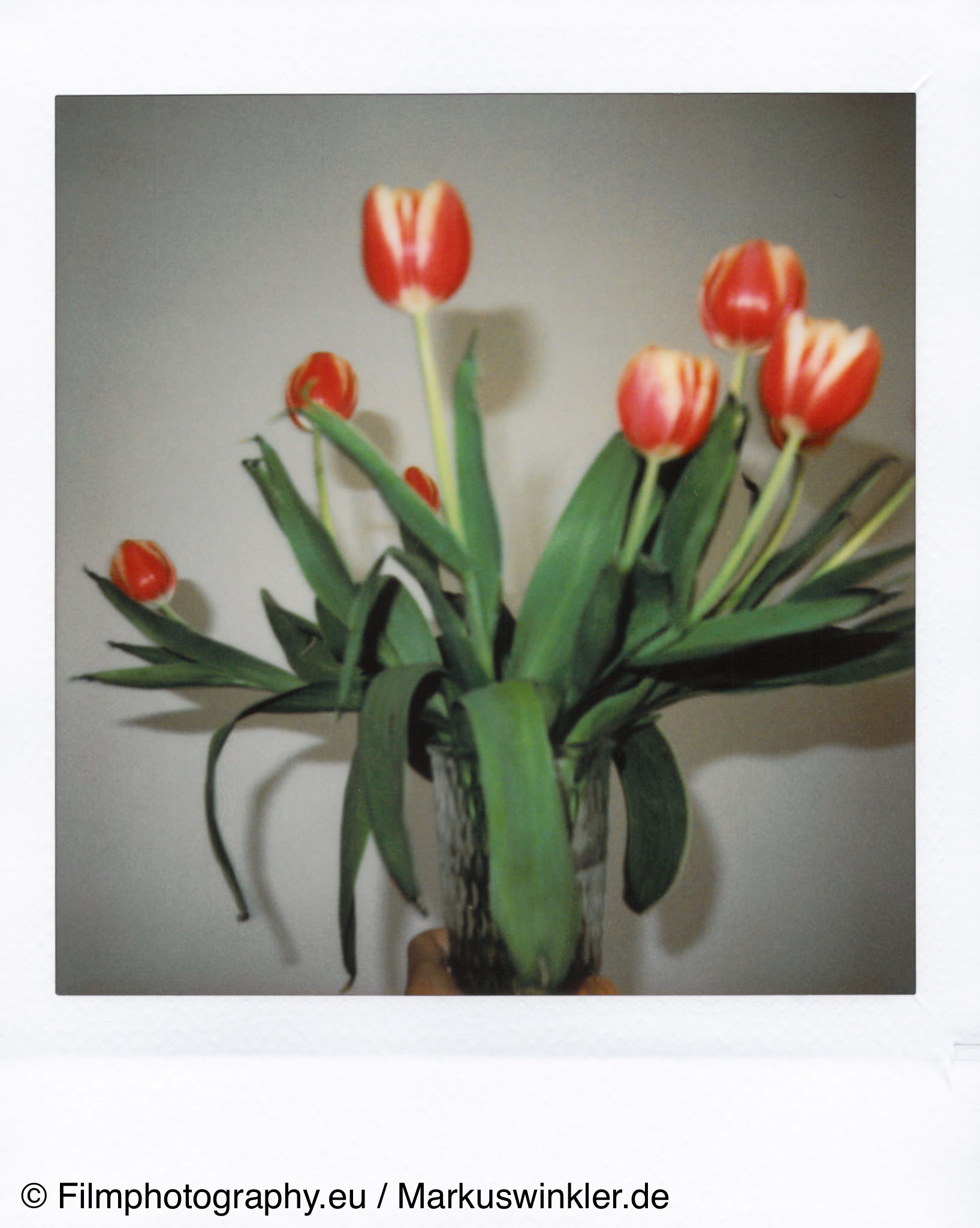 instax-square-sample-camera-photo