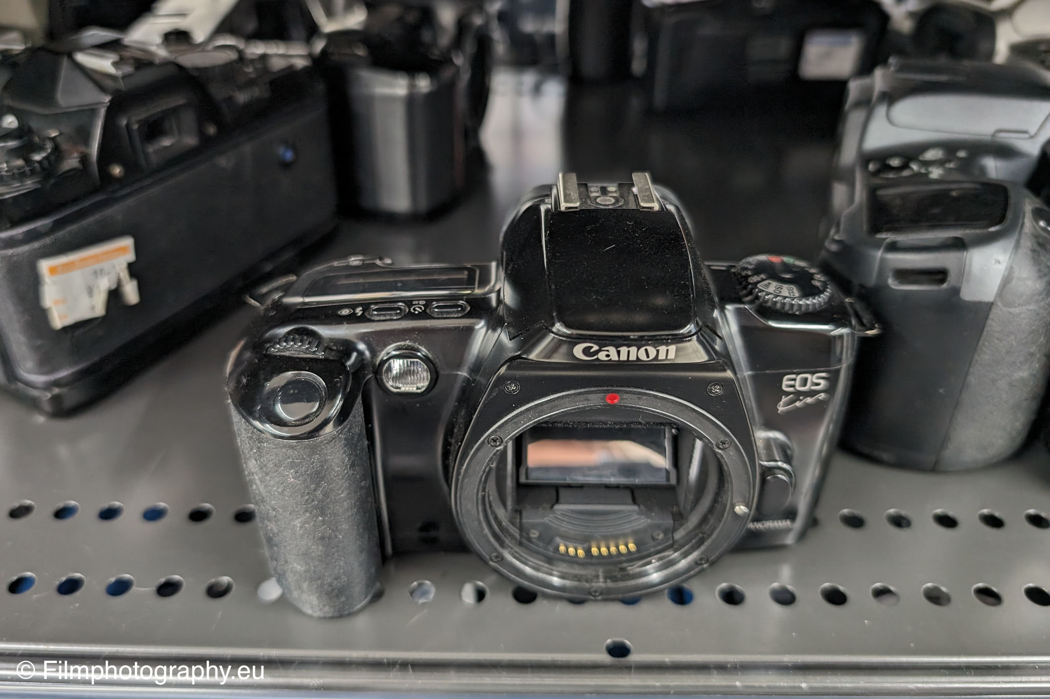 canon-eos-kiss-qd-japan-35mm-slr-2