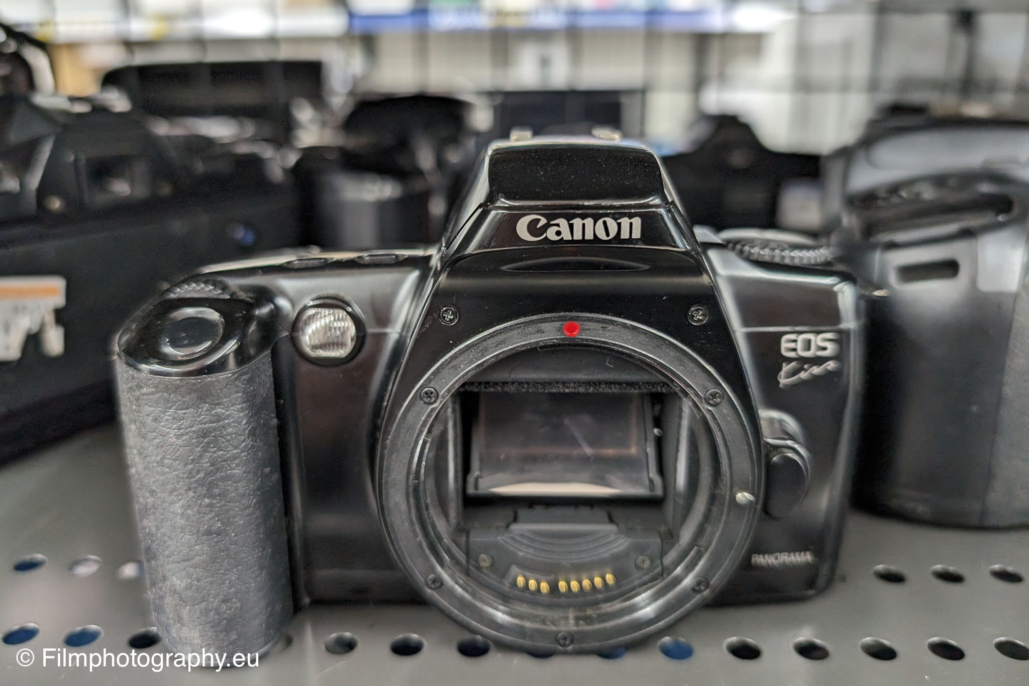 canon-eos-kiss-qd-japan-35mm-slr-3