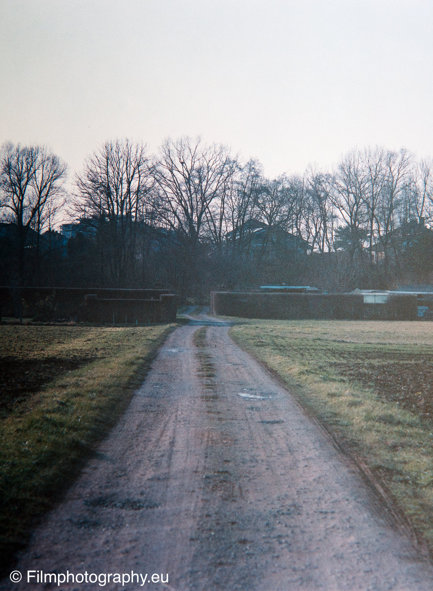 agfa-xrs-400-120-pentax-645-5