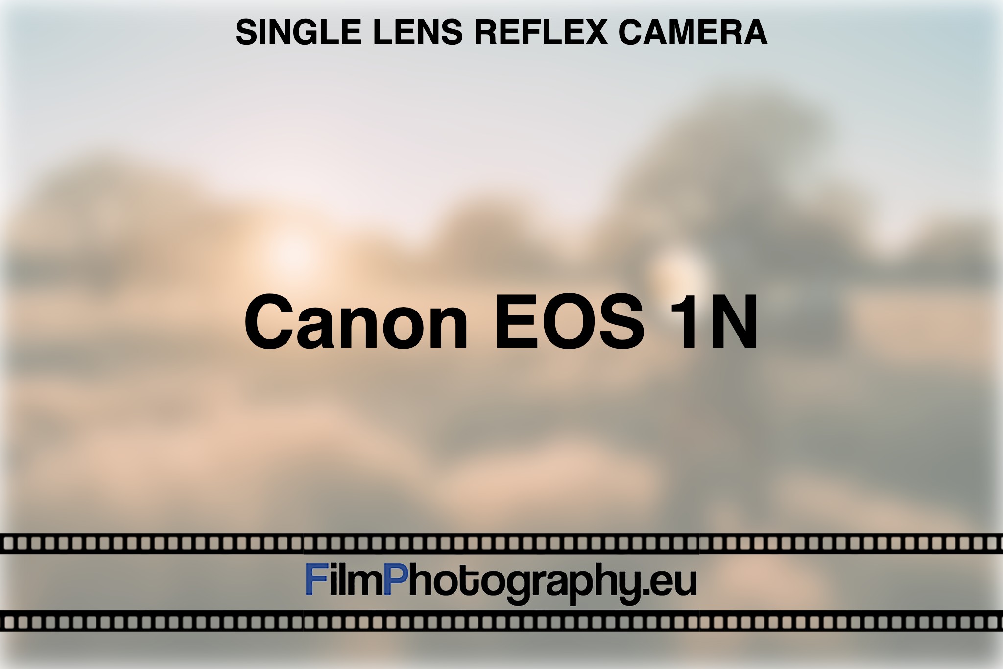 Canon EOS 1N
