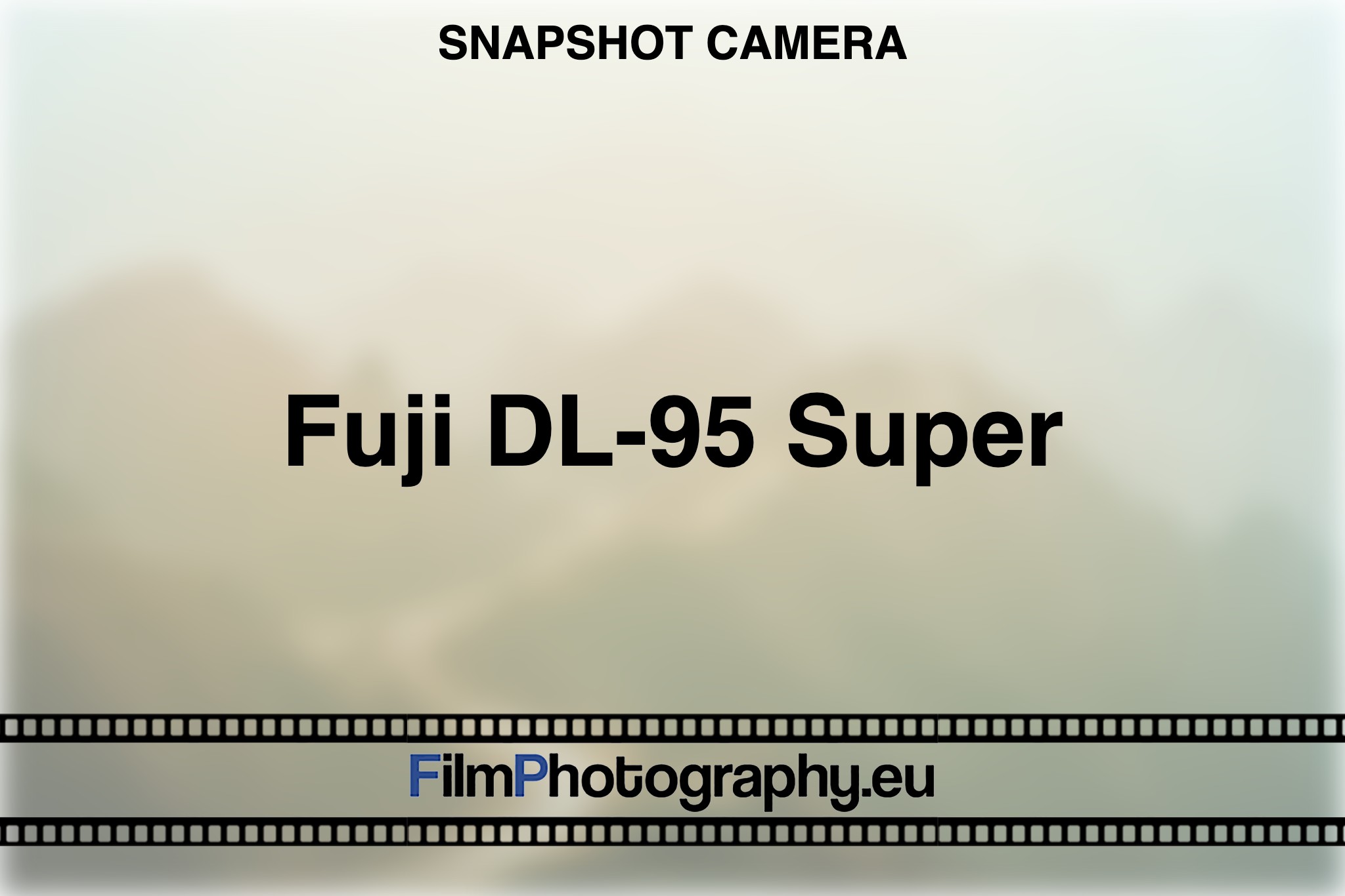 Fuji DL-95 Super