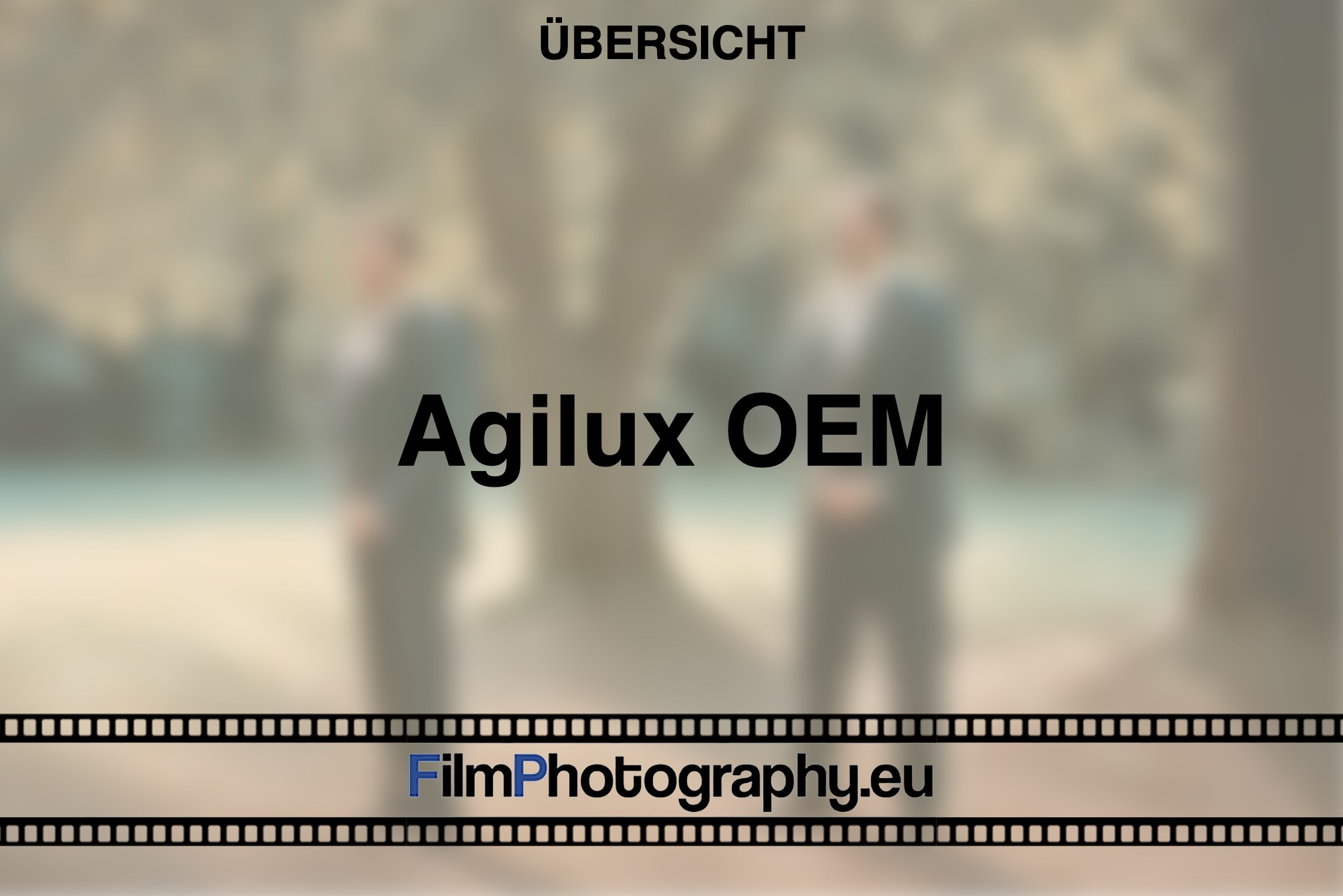 agilux-oem-uebersicht-bnv