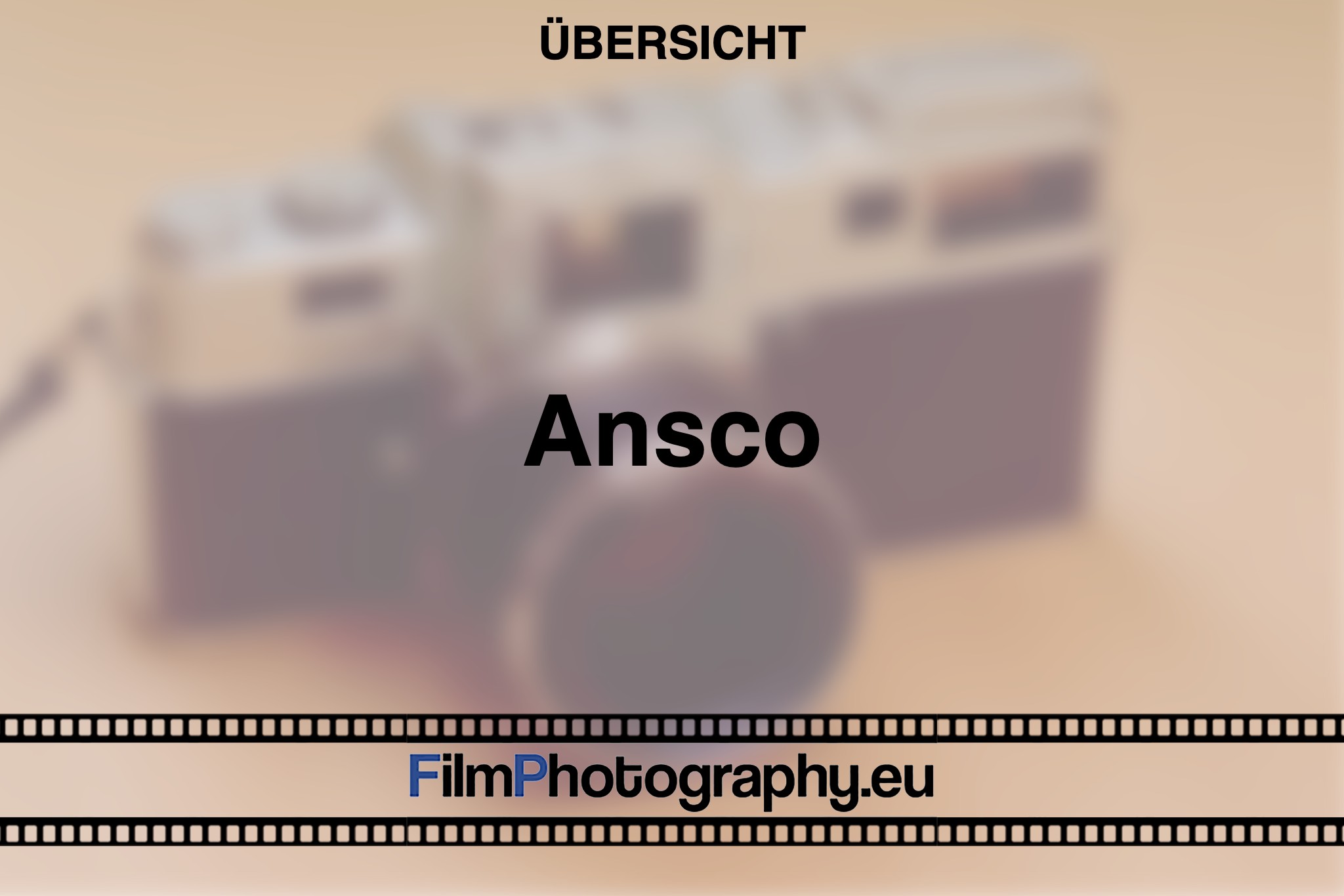 ansco-uebersicht-bnv
