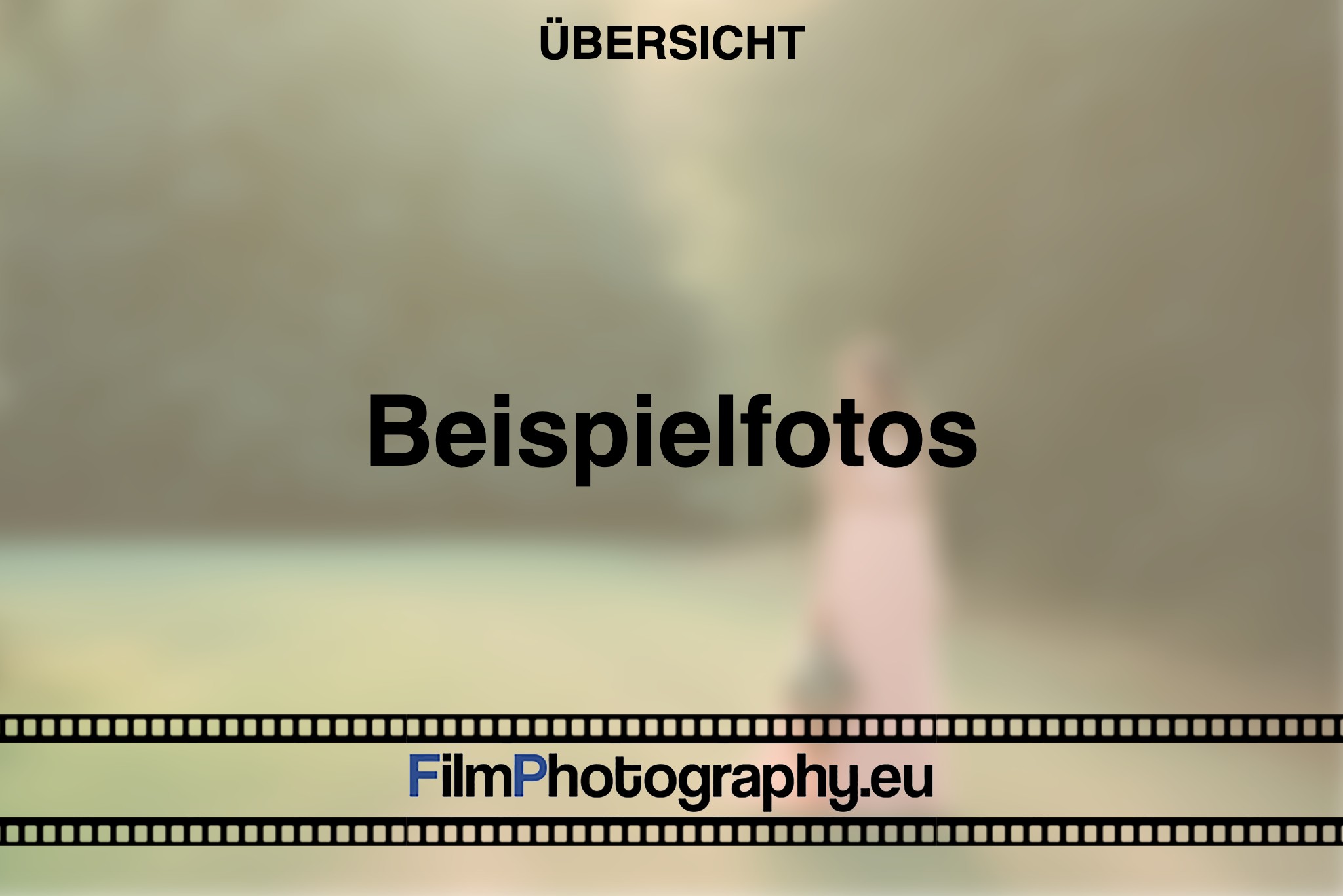 beispielfotos-uebersicht-bnv