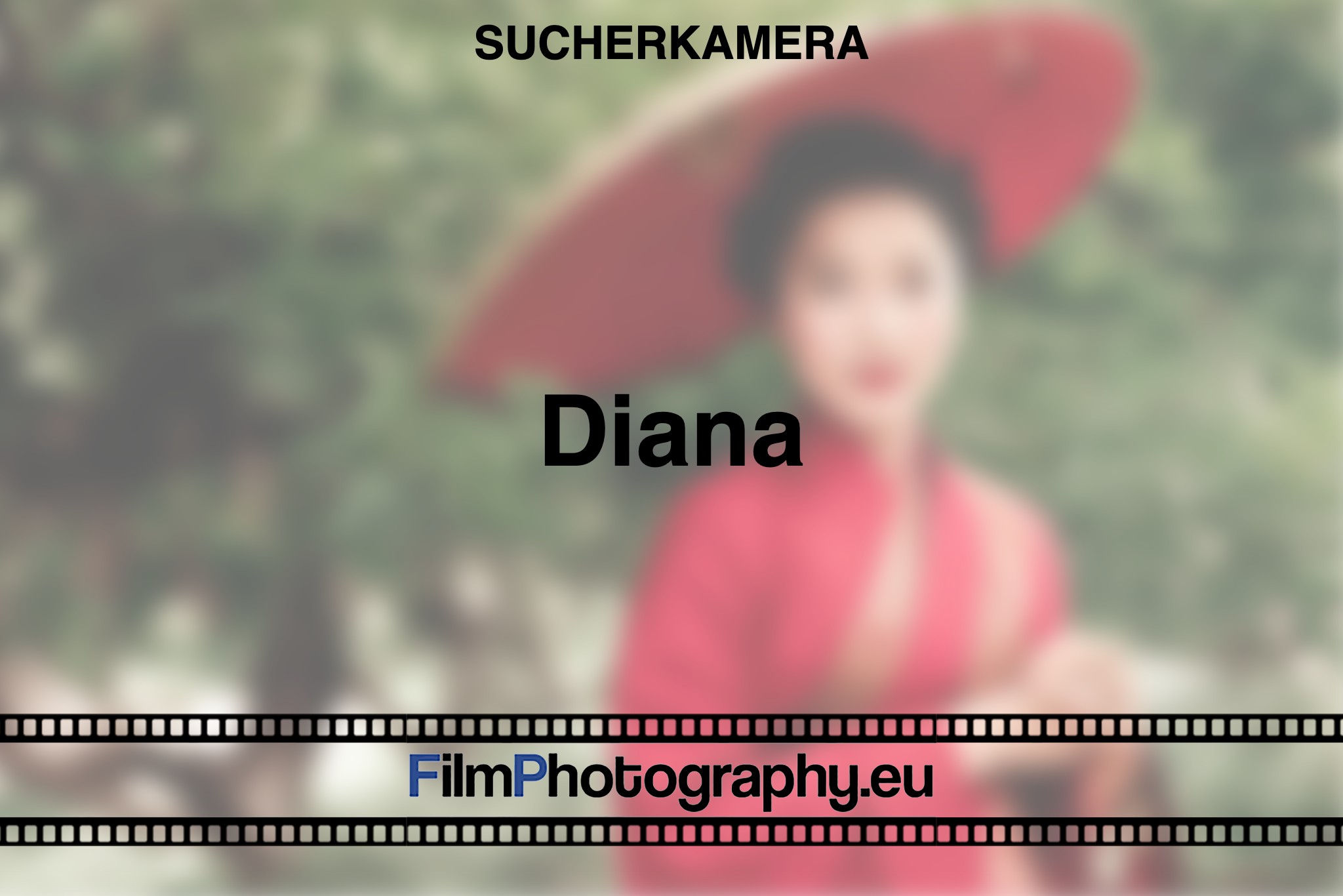 diana-sucherkamera-bnv