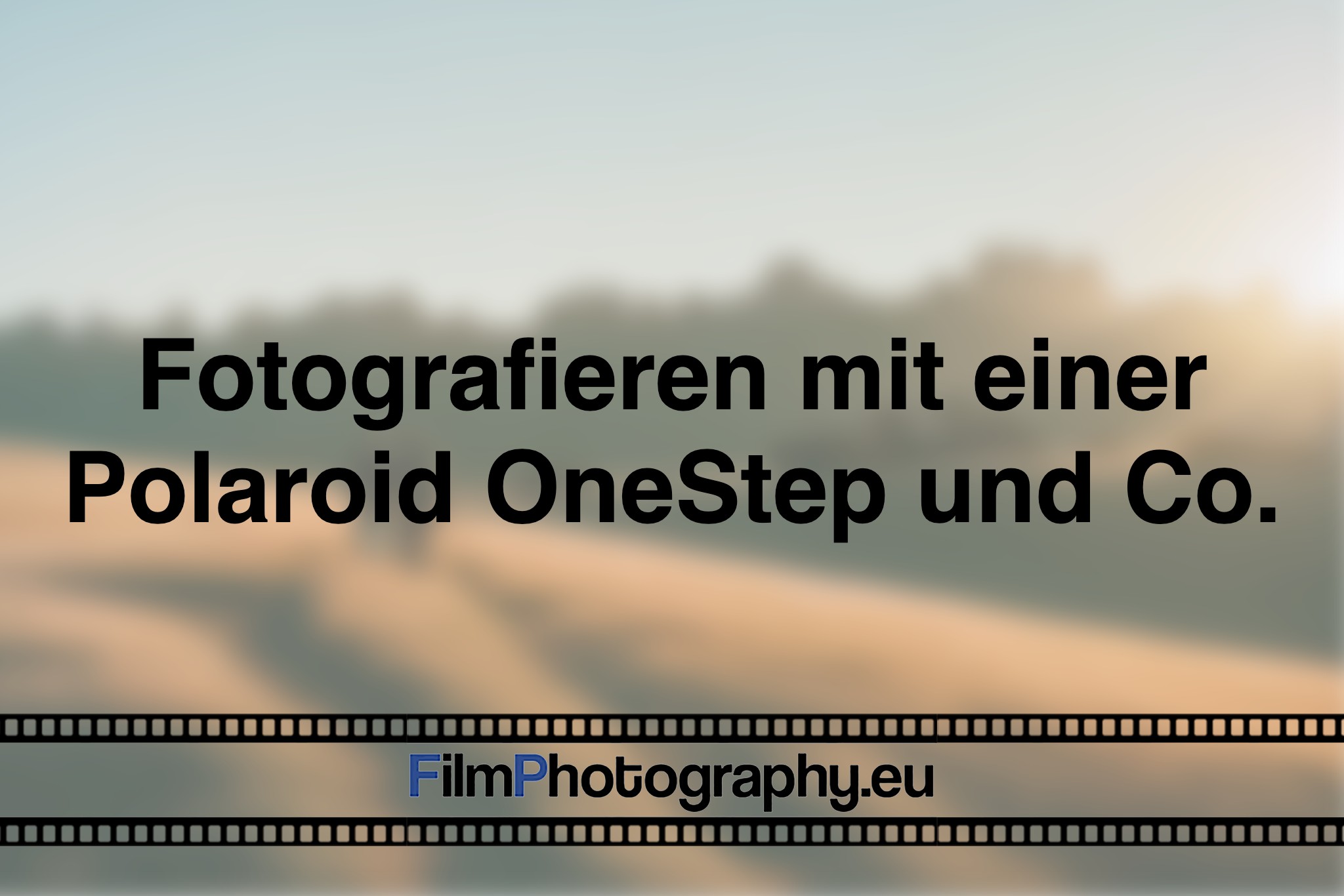 fotografieren-mit-einer-polaroid-onestep-und-co-photo-bnv