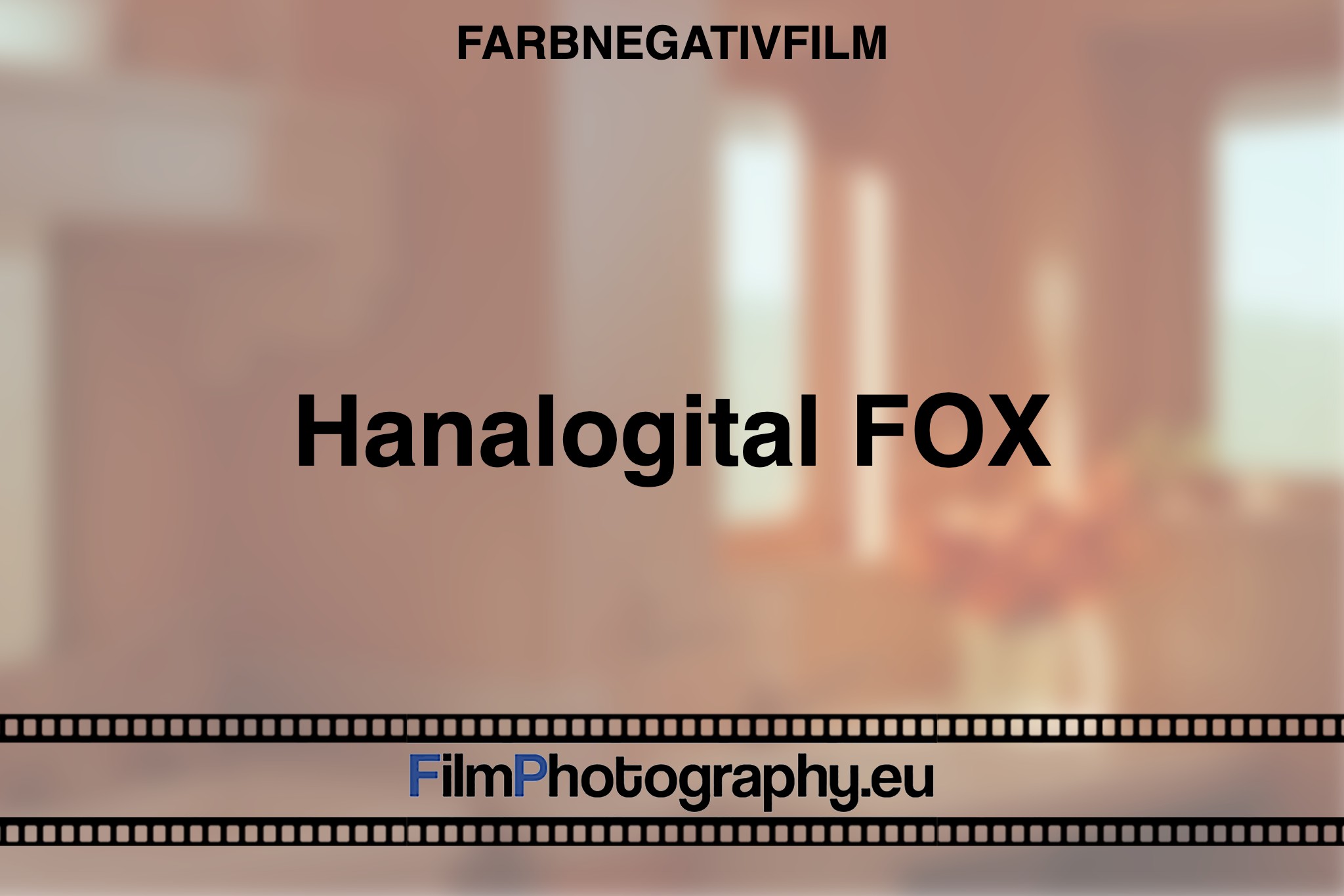 hanalogital-fox-farbnegativfilm-bnv