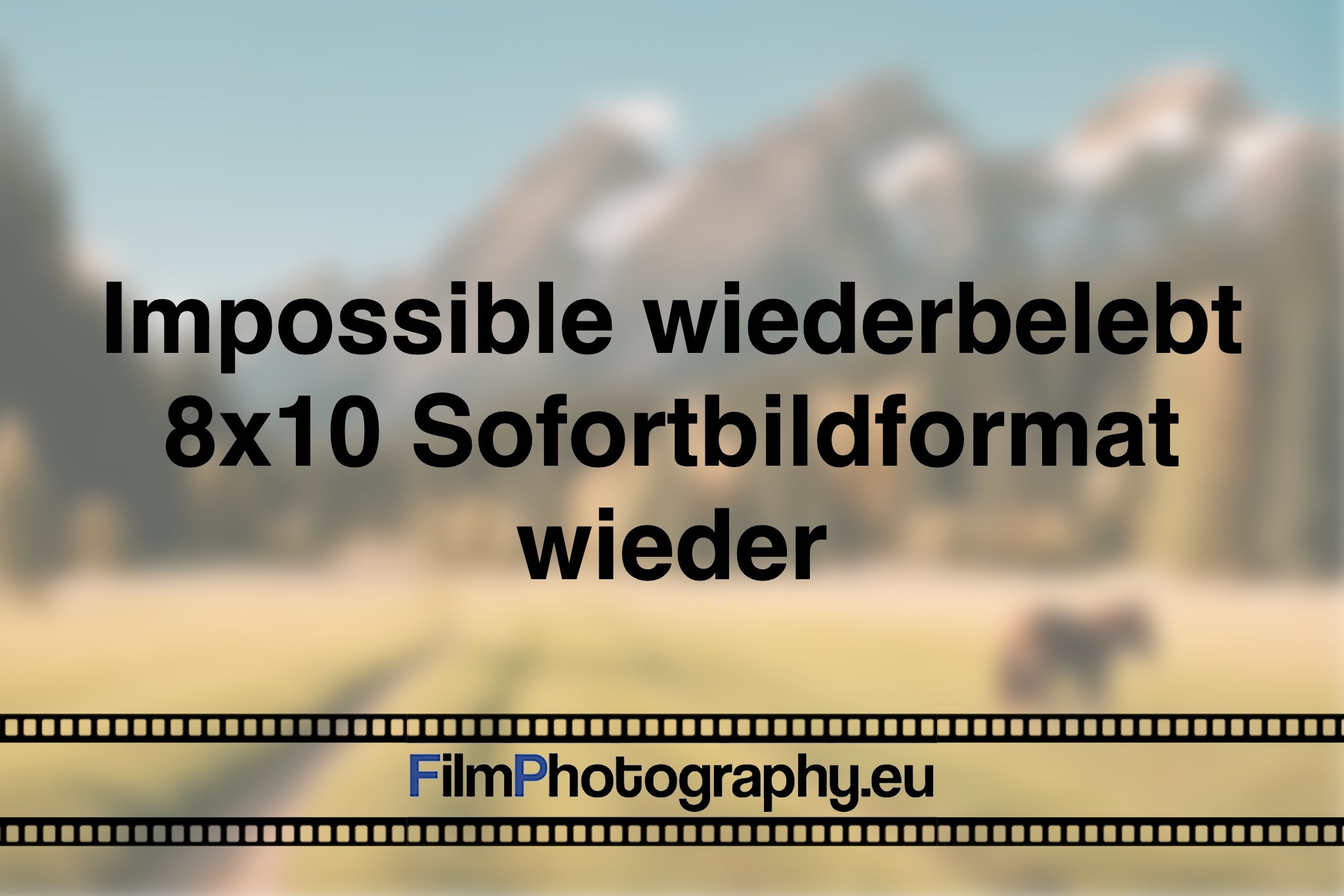 impossible-wiederbelebt-8x10-sofortbildformat-wieder-photo-bnv