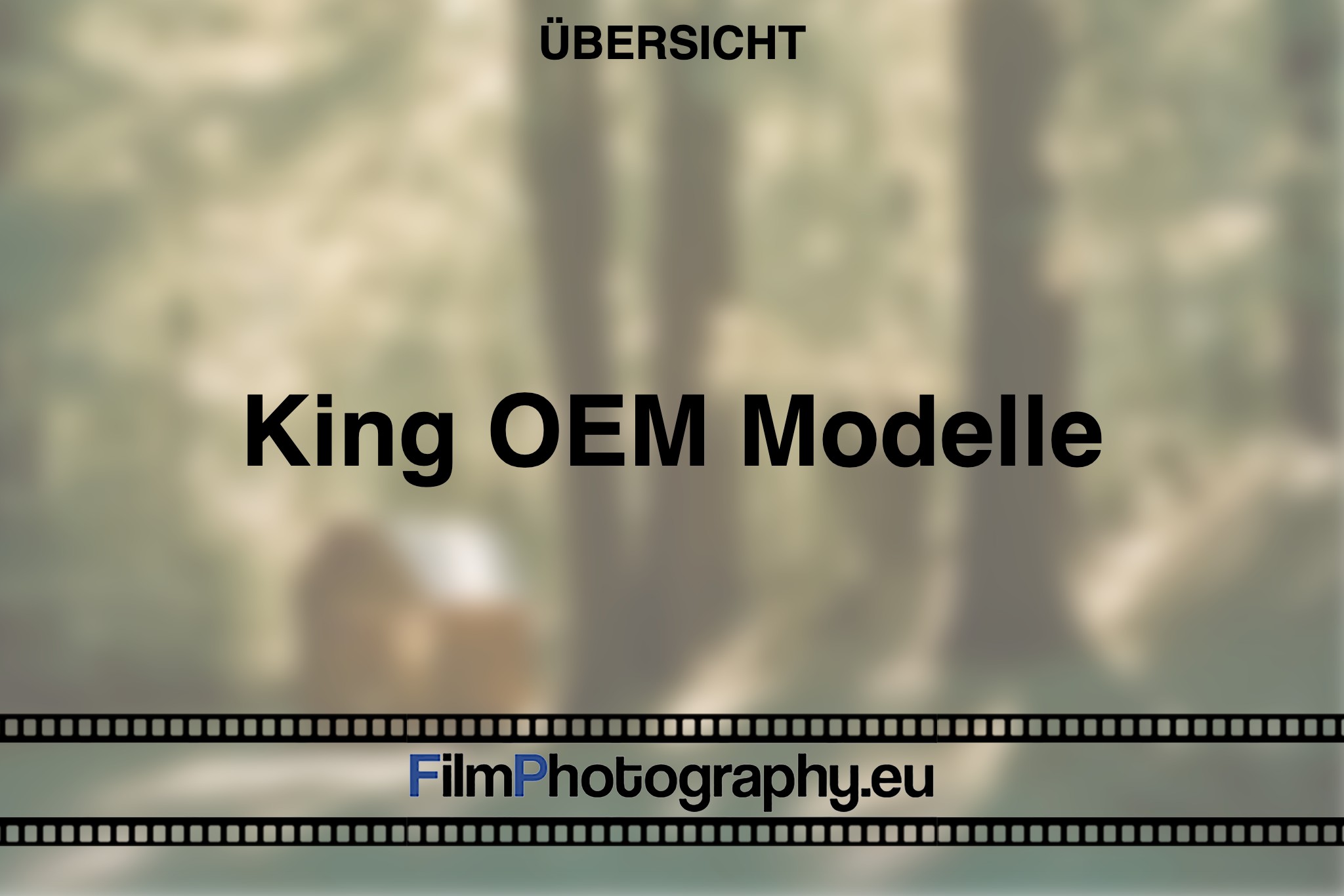 king-oem-modelle-uebersicht-bnv