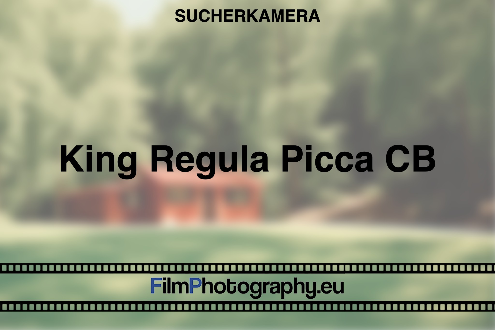 king-regula-picca-cb-sucherkamera-bnv