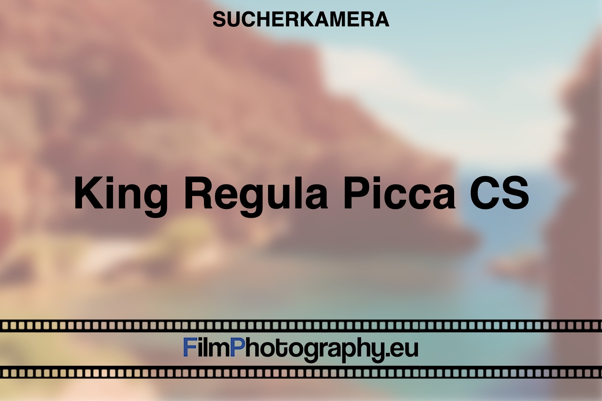 king-regula-picca-cs-sucherkamera-bnv