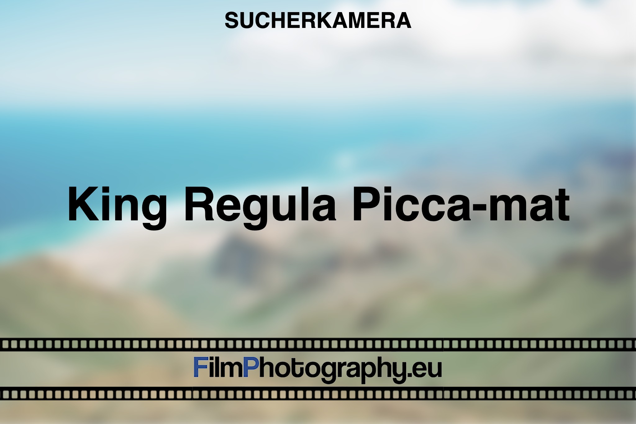 king-regula-picca-mat-sucherkamera-bnv