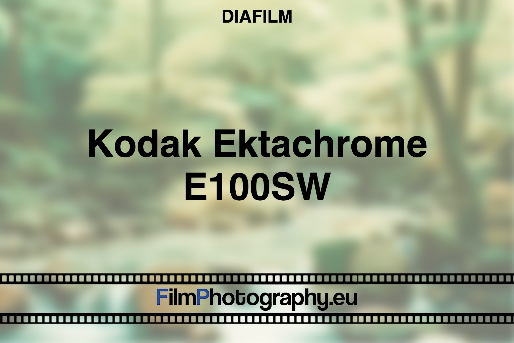 kodak-ektachrome-e100sw-diafilm-bnv