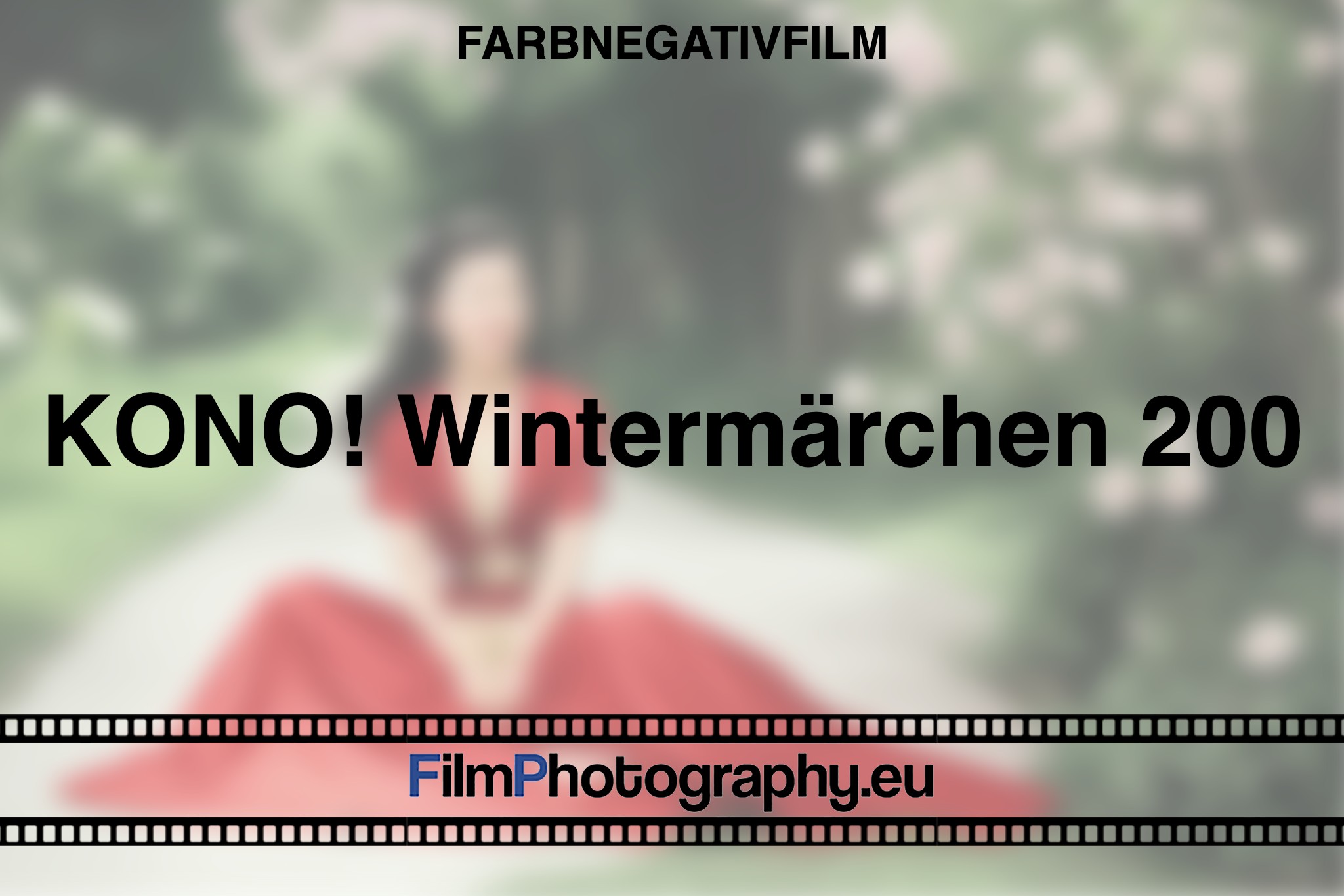 kono-wintermaerchen-200-farbnegativfilm-bnv