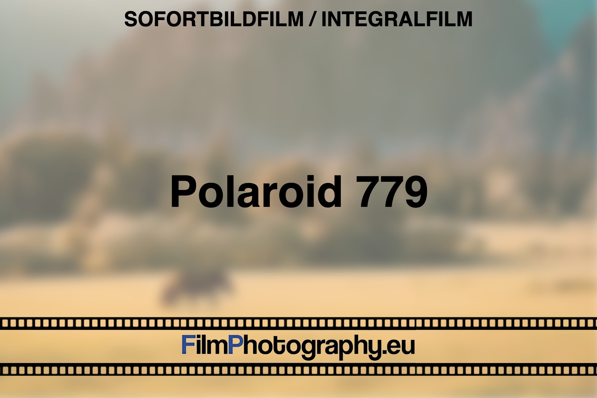 polaroid-779-sofortbildfilm-integralfilm-bnv