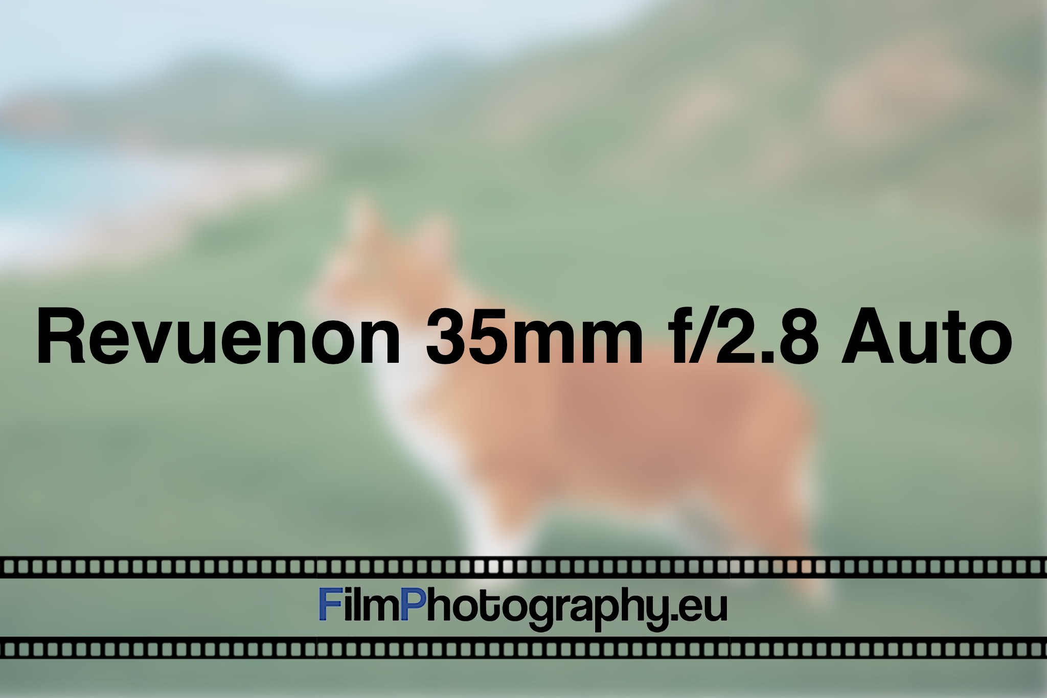 revuenon-35mm-f-2-8-auto-photo-bnv