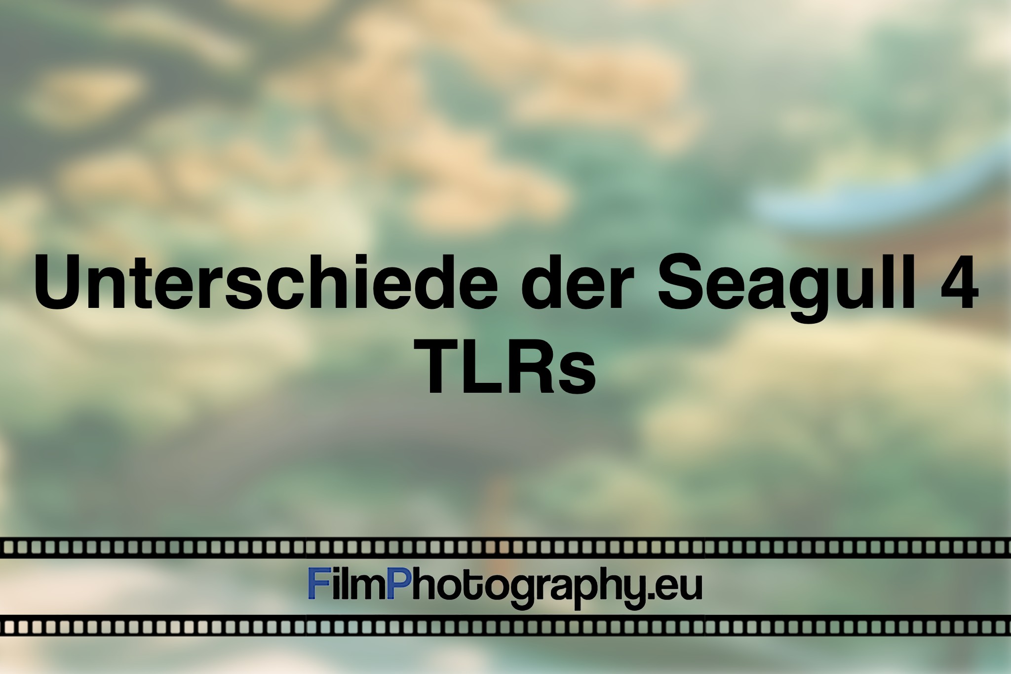 unterschiede-der-seagull-4-tlrs-photo-bnv