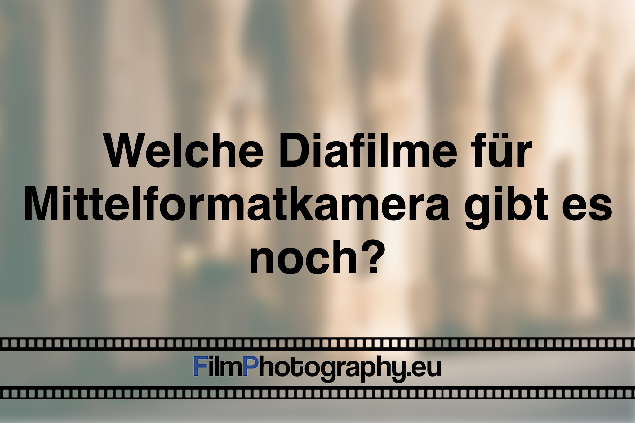 Welche Diafilme für Mittelformatkamera gibt es noch?