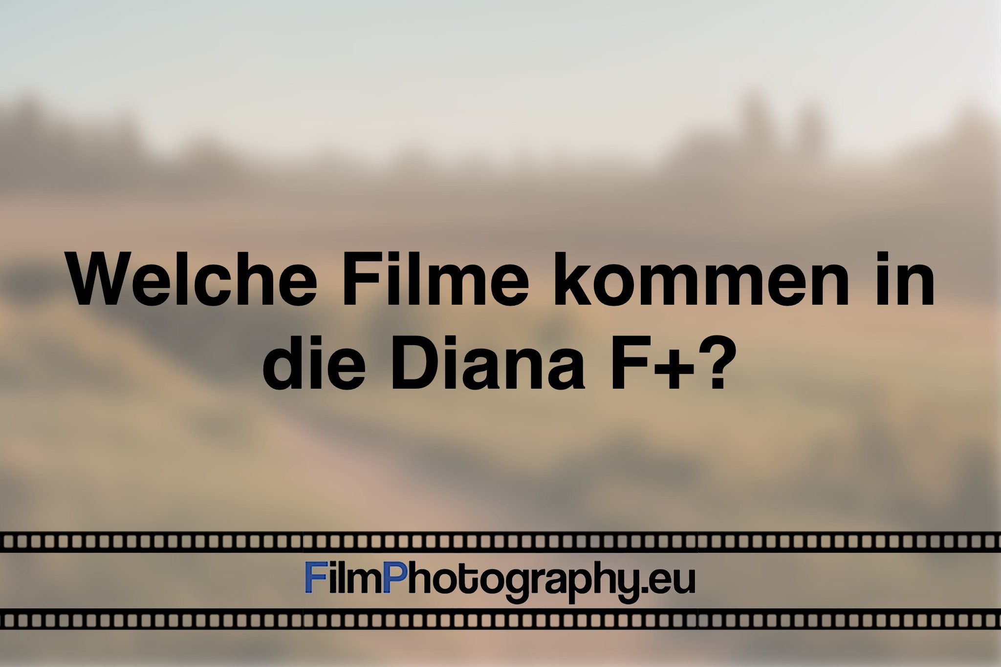 Welche Filme kommen in die Diana F?