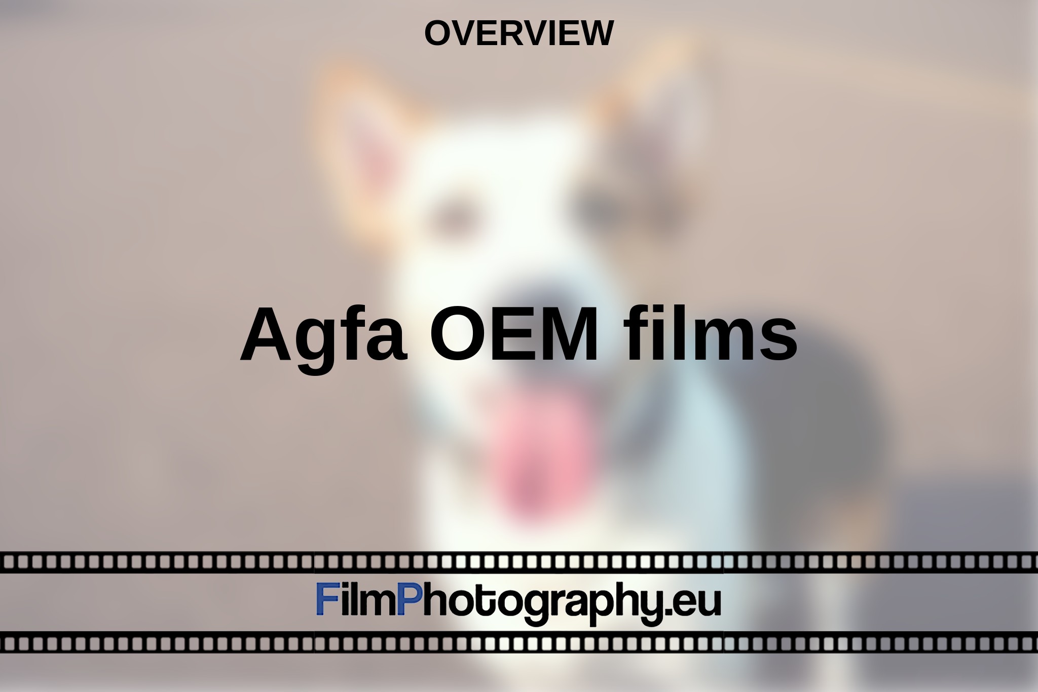 agfa-oem-films-overview-bnv.jpg