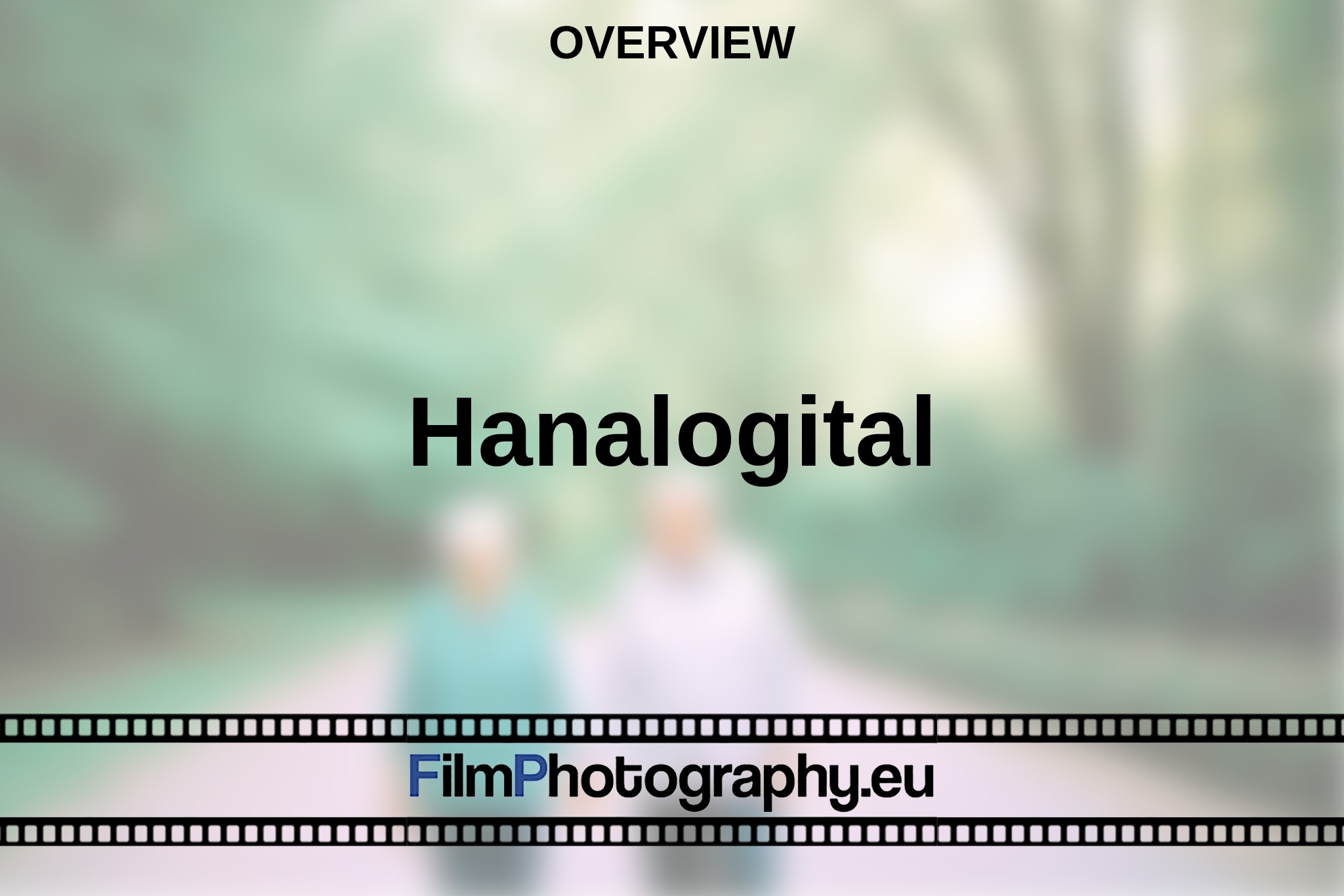 hanalogital-overview-bnv.jpg