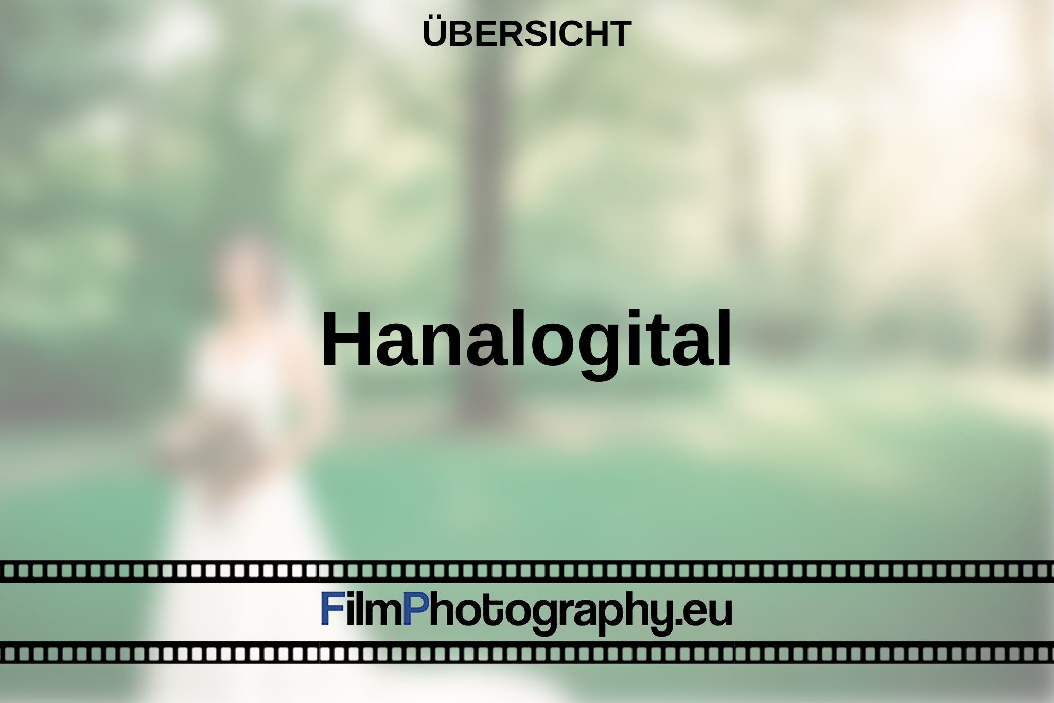 hanalogital-Übersicht-bnv.jpg