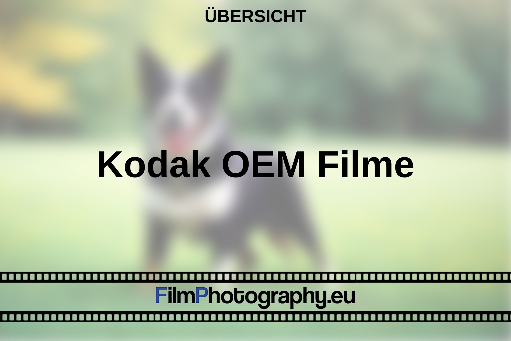 kodak-oem-filme-Übersicht-bnv.jpg