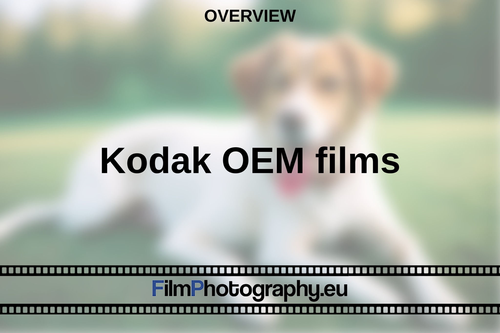 kodak-oem-films-overview-bnv.jpg