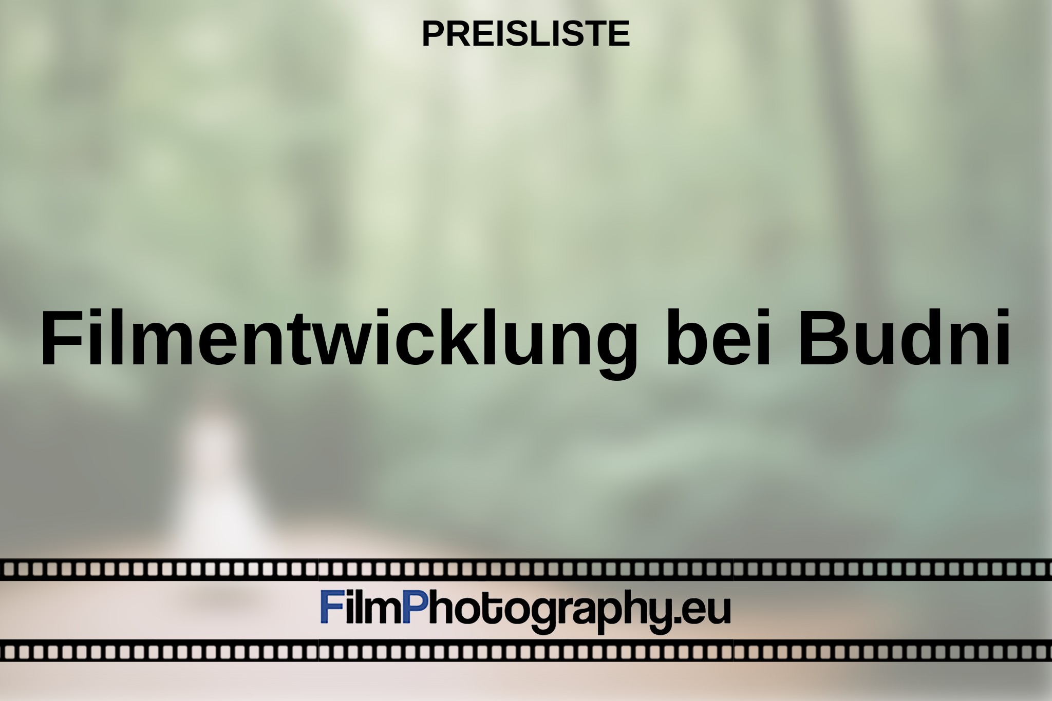 filmentwicklung-bei-budni-preisliste-bnv.jpg