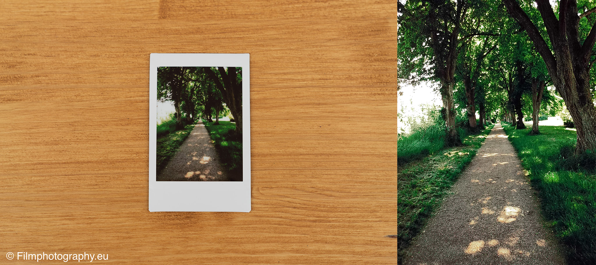 fujifilm-instax-mini-evo-review-photos-3