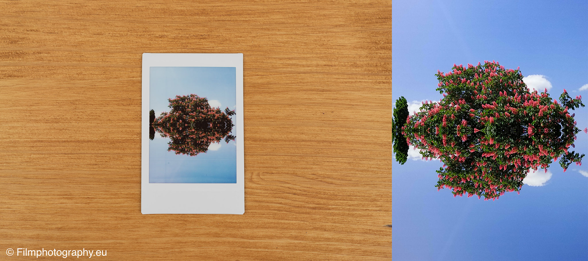fujifilm-instax-mini-evo-review-photos-4
