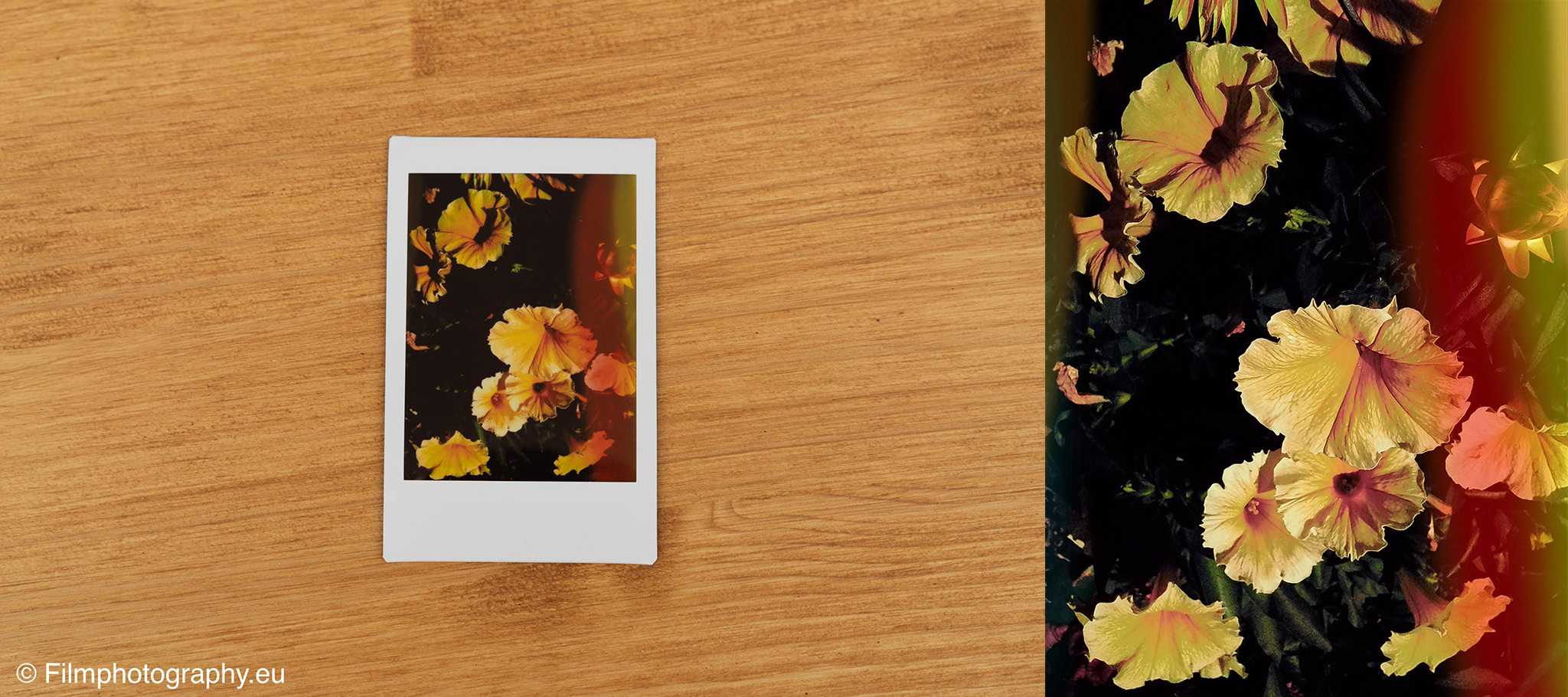 fujifilm-instax-mini-evo-review-photos-5