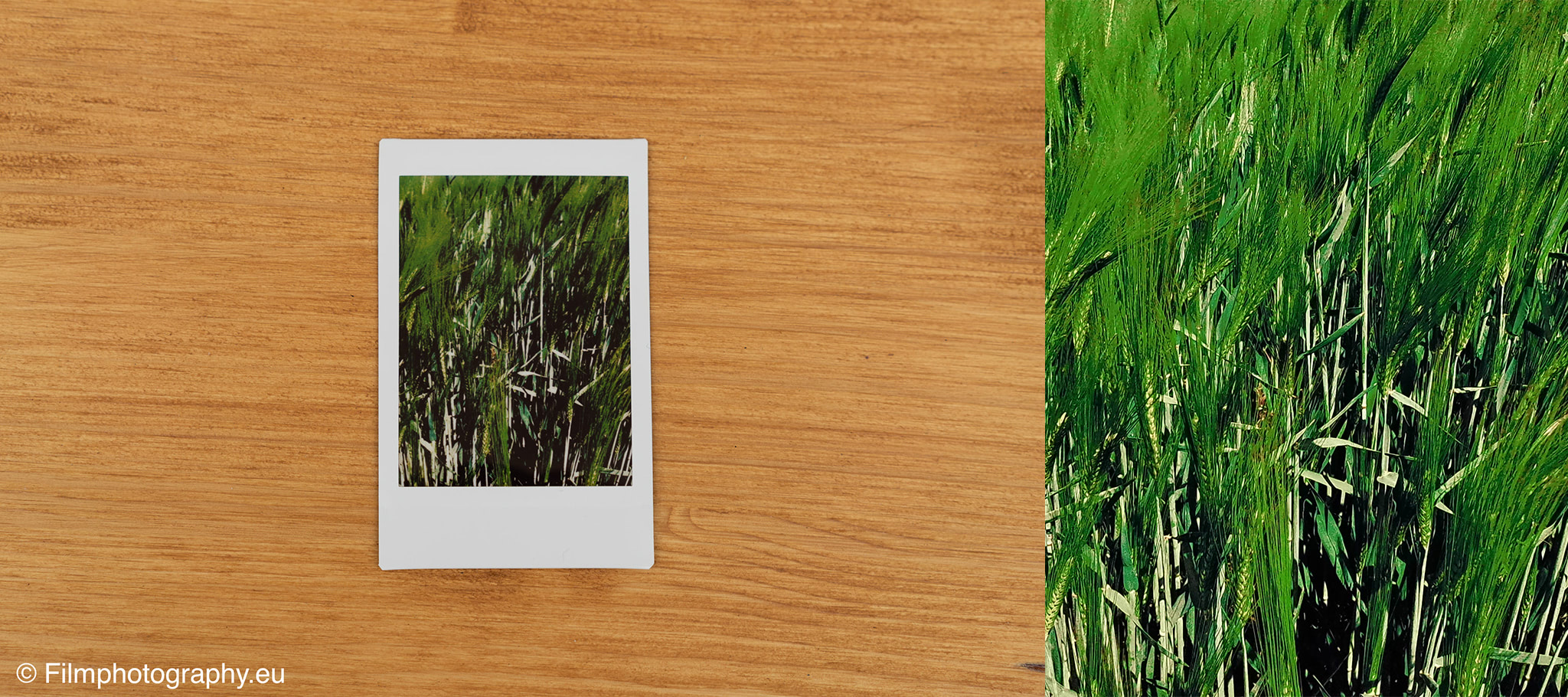 fujifilm-instax-mini-evo-review-photos-6