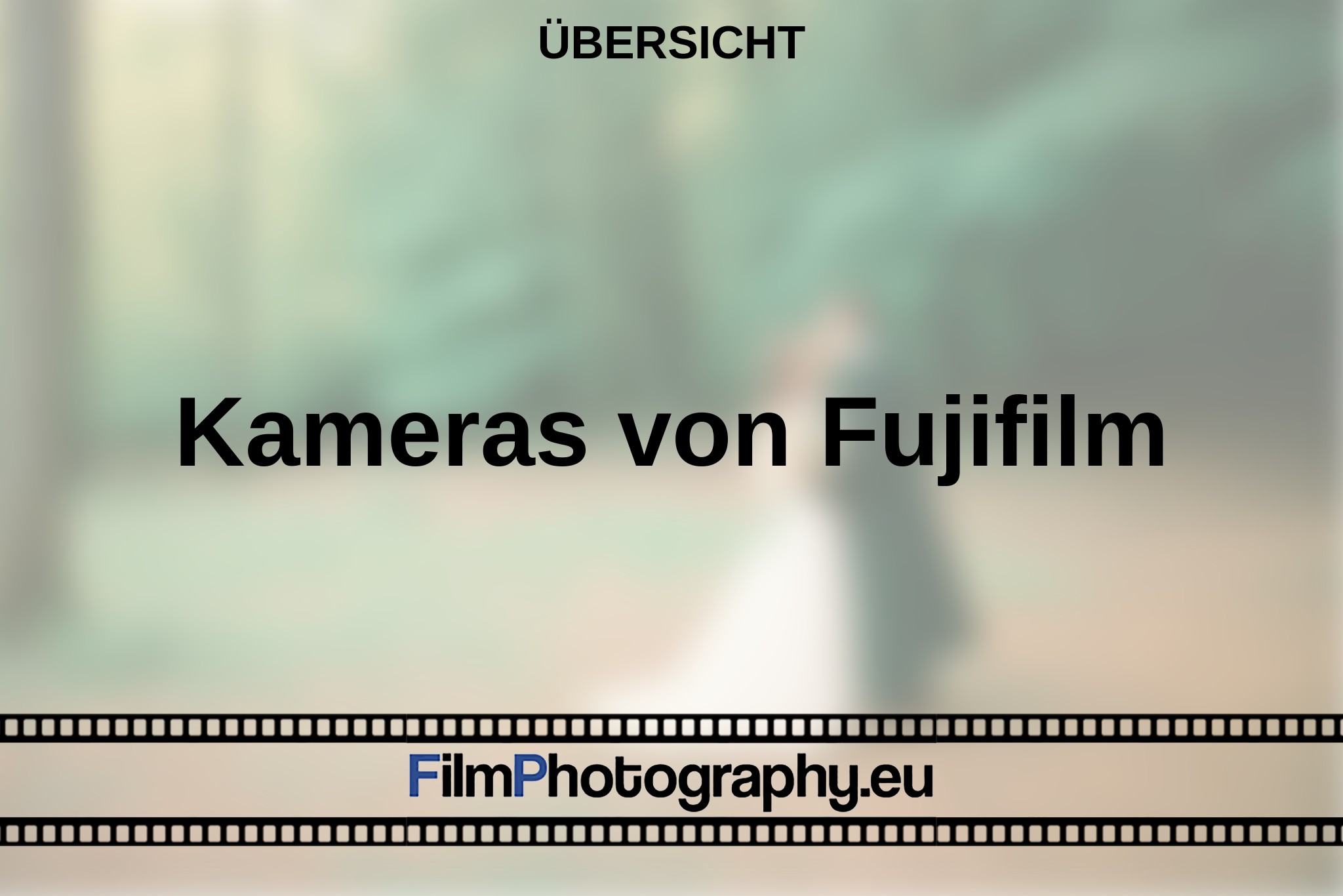 kameras-von-fujifilm-Übersicht-bnv.jpg